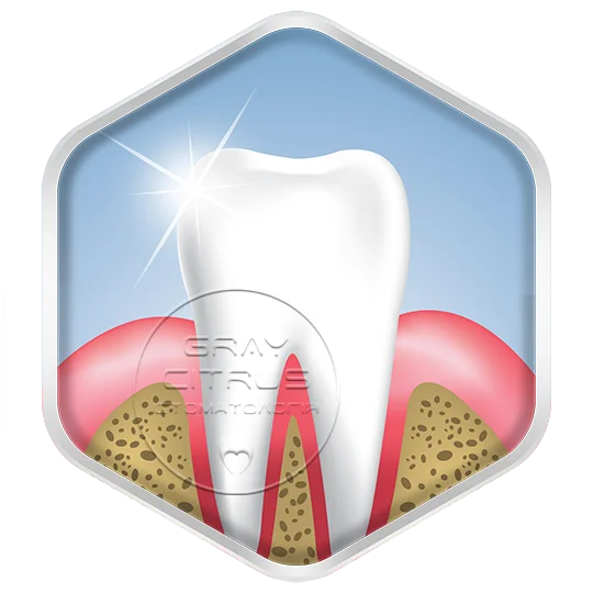 Профілактика порожнини рота
